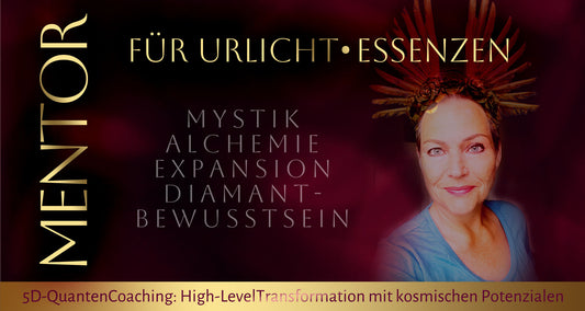 Coaching, Einzelsitzung