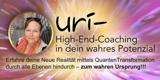 URI-Coaching, Einzelsitzung