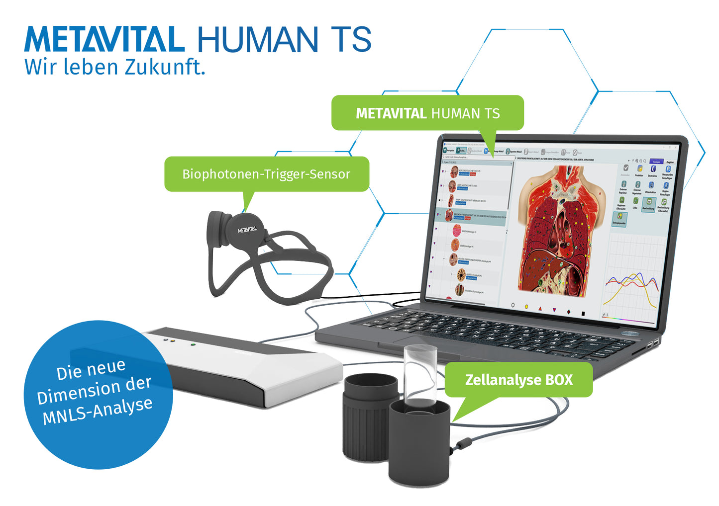 METAVITAL-Expert / E-smog-Analyse